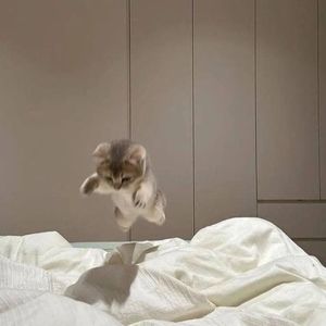 Meet your Posher, Ashlee